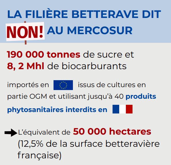 Reims La Marne Agricole Mercosur : ce qui inquiète les betteraviers de la Marne La Confédération générale des planteurs de betteraves (CGB) mobilise ses troupes dans la Marne contre l'accord de libre-échange entre l’Union européenne et le Mercosur.