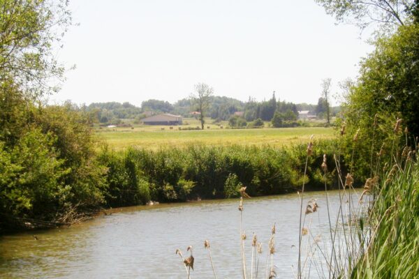 Grand Est : le partage des usages de l’eau devient raison