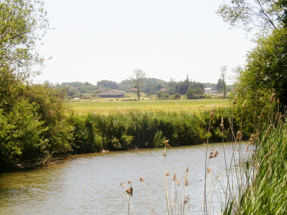 Reims La Marne Agricole Grand Est : le partage des usages de l’eau devient raison Le changement climatique est entré en action, à défaut d’entrer toutefois entièrement dans les mœurs. La Région Grand Est veut anticiper en développant des stratégies. Illustration autour de la ressource en eau, à l’occasion d’un colloque à la Madine.