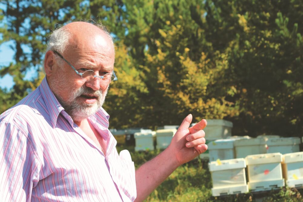 Reims La Marne Agricole La météo pluvieuse et le manque de floraison ont réduit la production et fragilisé les abeilles. Les professionnels en appellent aux pouvoirs publics pour enrayer le déclin. Apiculture à Ville-en-Tardenois : une sombre année 2024 pour le miel La production pourrait être divisée par 3 ou 4 par rapport aux années précédentes et des mortalités importantes sont redoutées à l’automne et pendant l’hiver prochain, s’alarme le Réseau biodiversité pour les abeilles par la voix de son président Philippe Lecompte, apiculteur bio professionnel à Ville-en-Tardenois.