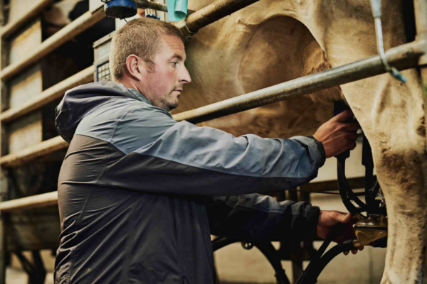 Lait : en France, le prix des 1 000 litres supérieur à 500 €