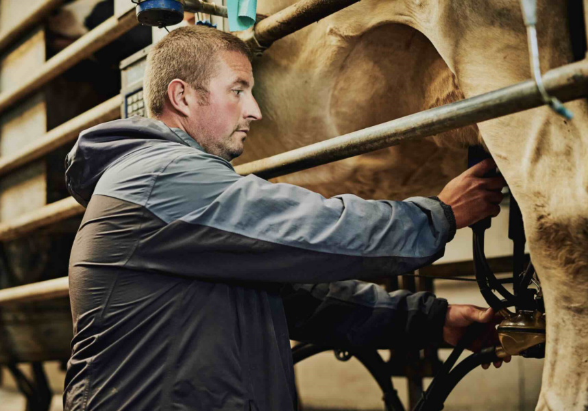 Lait : en France, le prix des 1 000 litres supérieur à 500 €