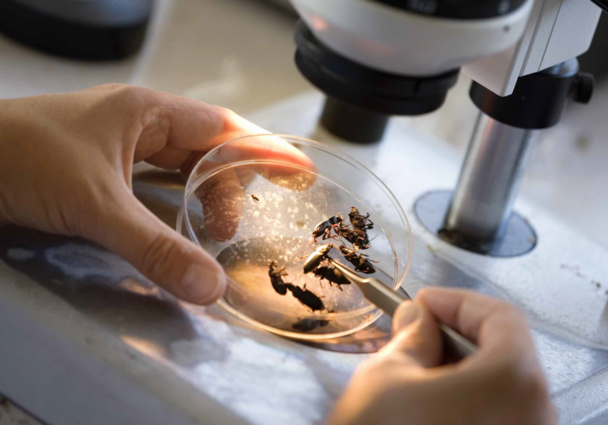 Inrae : « Trouver des solutions pour les agriculteurs »