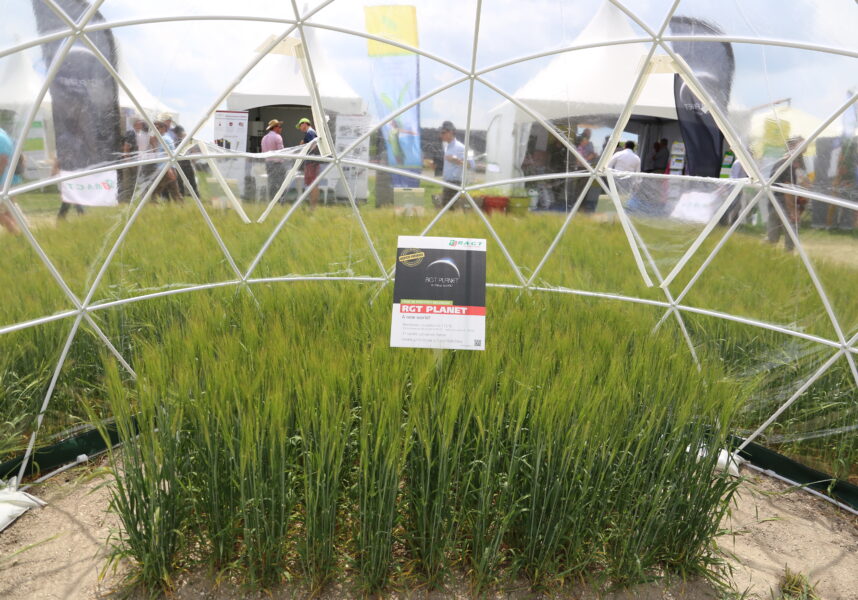 Nourrir 9,5 milliards de Terriens : une agriculture plus scientifique et moins libérale Nourrir 9,5 milliards de Terriens : une agriculture plus scientifique et moins libérale