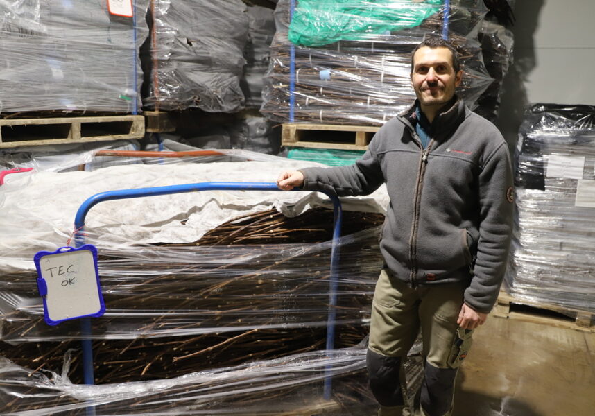 Pépinières : la famille Dumont maîtrise son activité à Rilly-la-Montagne