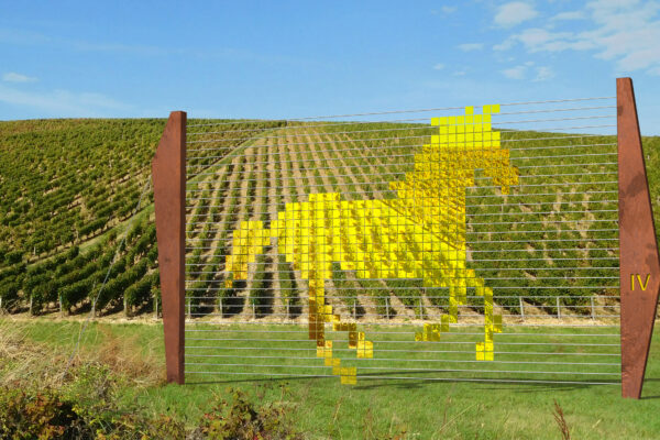Épernay : Vign’Art met en lumière les paysages de la Champagne