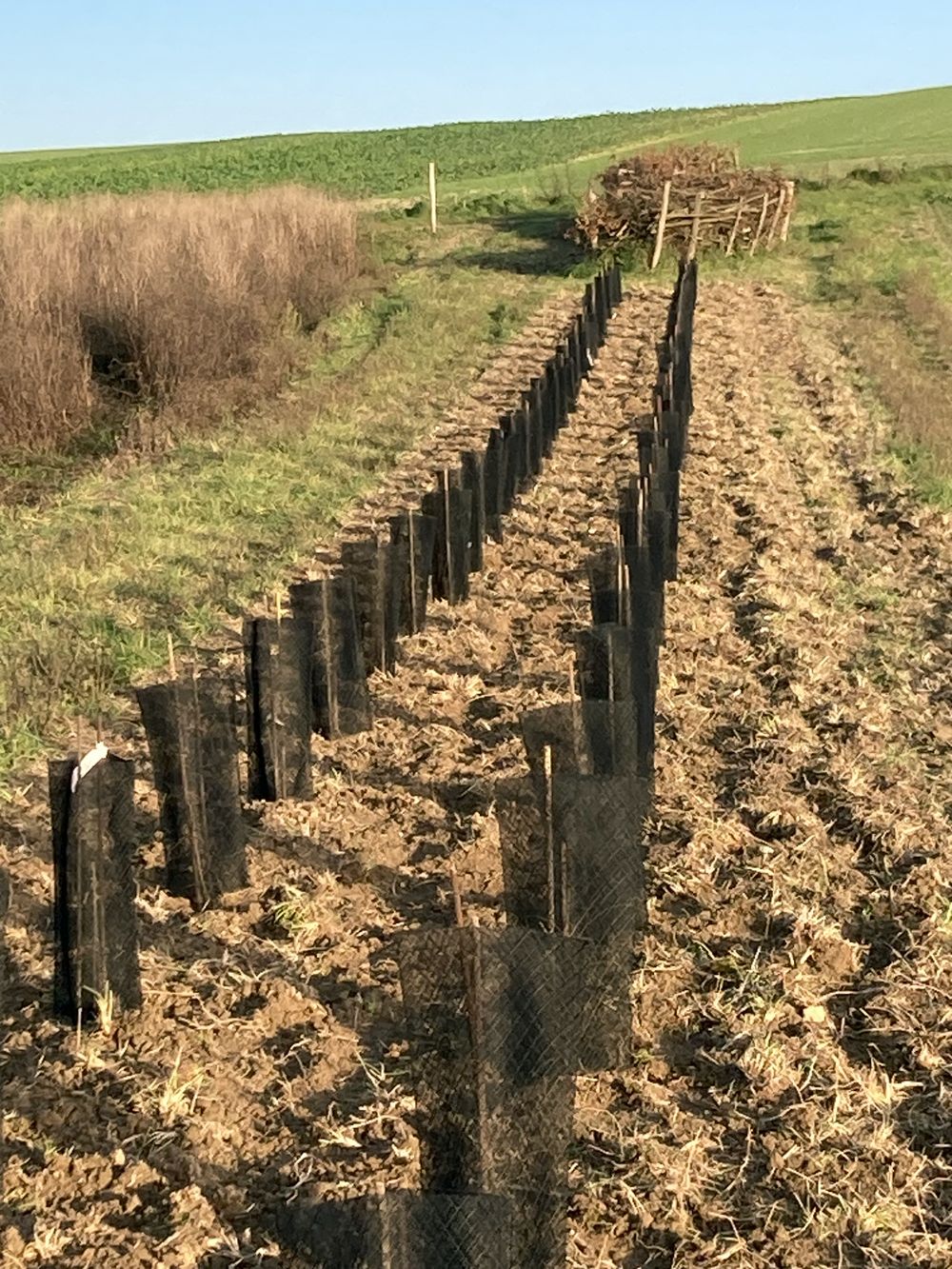 Reims La Marne Agricole PAC : Bruxelles valide les modifications du PSN français pour la campagne 2025 « La Commission européenne a approuvé, le 15 avril, la version révisée du plan stratégique national (PSN) français » pour la campagne 2025, a annoncé le ministère de l’Agriculture dans un communiqué le 22 avril.
