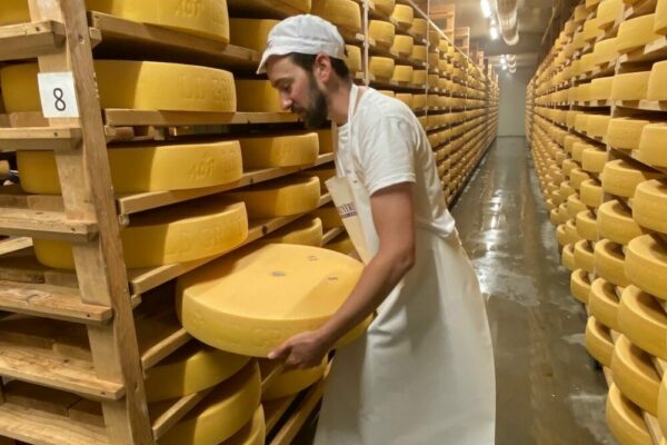 Les coopératives laitières au prisme des enjeux internationaux