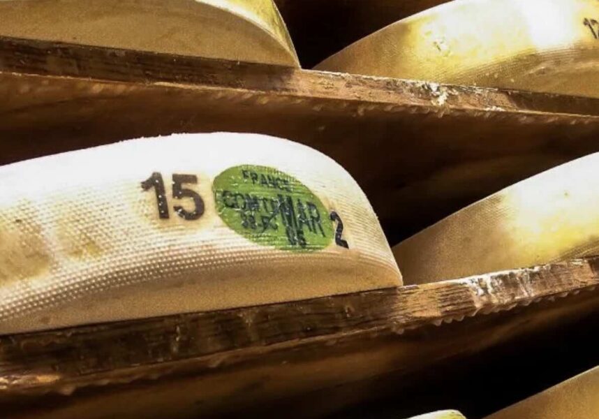 Les écolos à « Comté » de la plaque