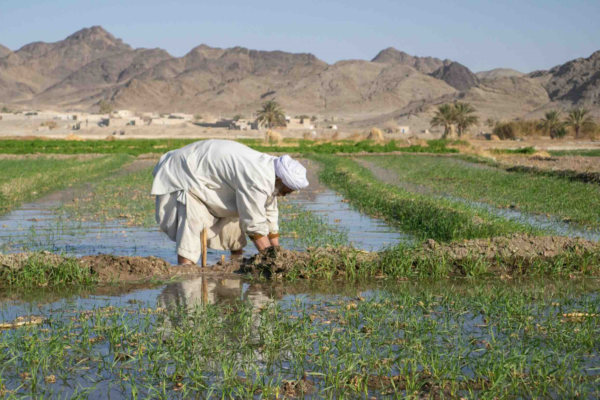 Vers une guerre de l’eau entre l’Inde et le Pakistan ?
