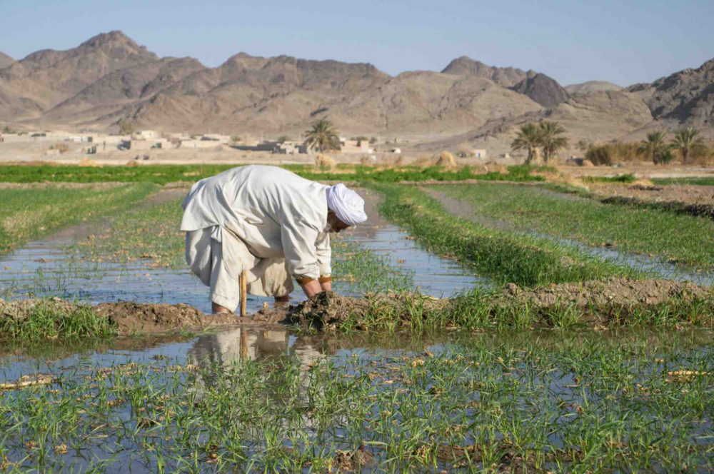 Reims La Marne Agricole Vers une guerre de l’eau entre l’Inde et le Pakistan ? Le Premier ministre indien, Narendra Modi, a annoncé le 6 mai que son pays allait "couper l’eau" des fleuves qui irriguent le Pakistan. Mais les deux pays sont déjà sur le sentier de la guerre