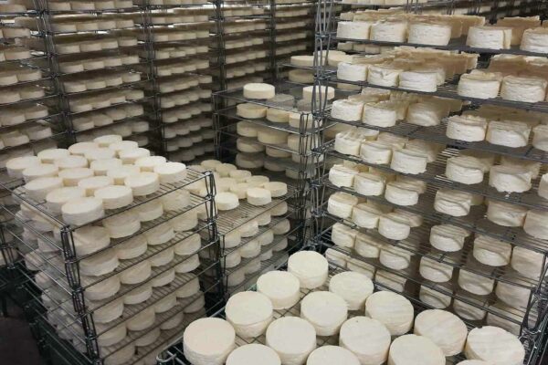 Le camembert de Normandie cherche à rebondir