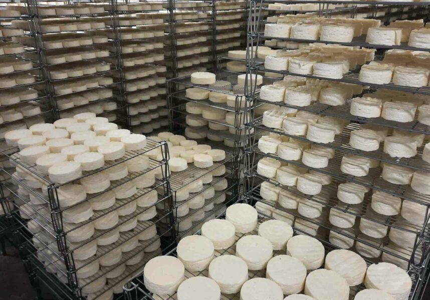 Le camembert de Normandie cherche à rebondir