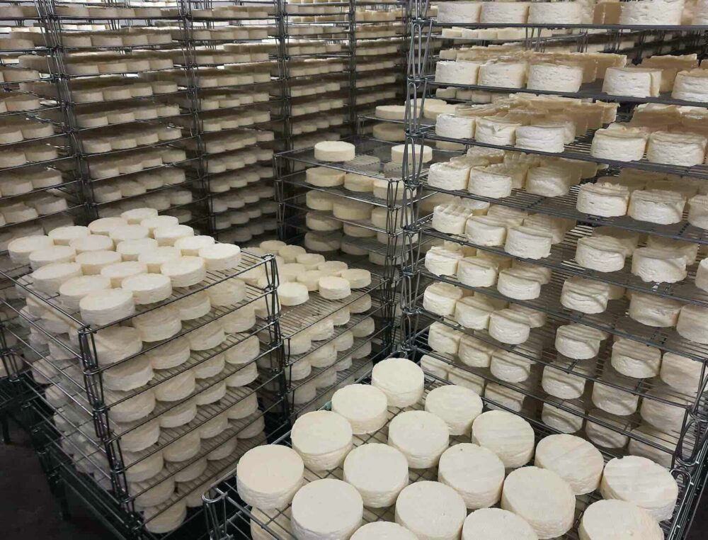 Reims La Marne Agricole Le camembert de Normandie cherche à rebondir Alors que les ventes du fromage AOP normand ont connu une baisse sensible ces deux dernières années, les producteurs et transformateurs s’adaptent et engagent la révision du cahier des charges.