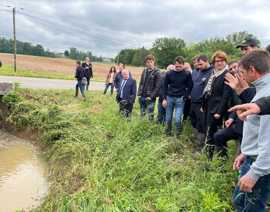 Reims La Marne Agricole Intempéries : Annie Genevard au chevet des agriculteurs d’Occitanie Les orages du 19 mai ont fortement impacté l’Occitanie, et notamment les départements du Tarn, du Tarn-et-Garonne, de Haute-Garonne, mais aussi l’Aude et le Gers.