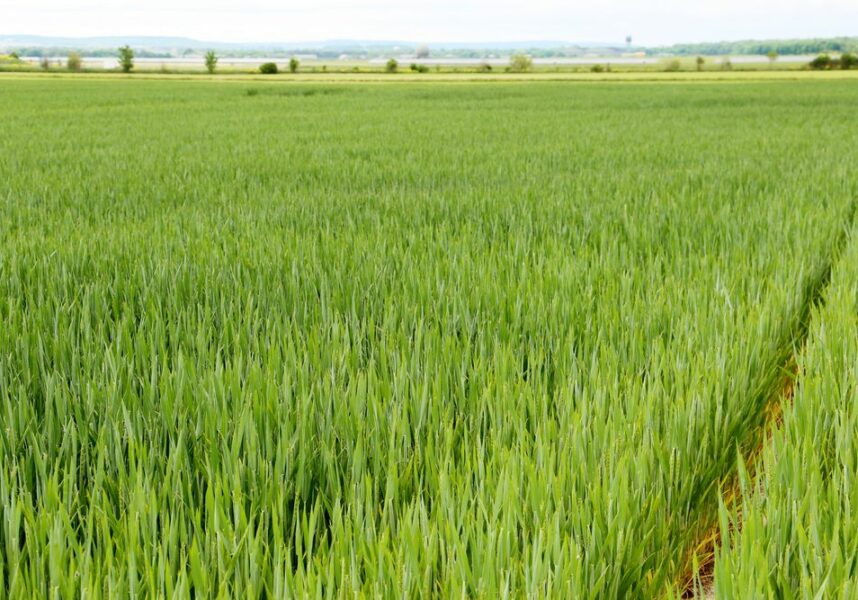 Section nationale des propriétaires ruraux : les bailleurs ne désarment pas
