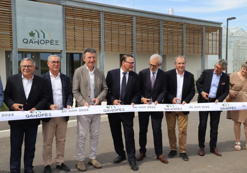 Oger : inauguration du projet Qanopée, une serre inventive pour l’avenir du vignoble