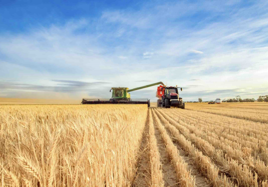 Céréales : fin de campagne terne avec des prix en berne