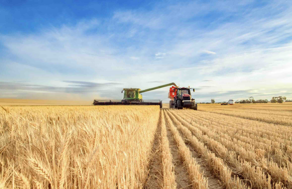 Reims La Marne Agricole Céréales : fin de campagne terne avec des prix en berne FranceAgriMer dresse un premier bilan de la campagne de commercialisation 2024-2025. Le niveau actuel des prix des céréales donne une première tendance pour 2025-2026 mais la géopolitique pourrait prendre le pas sur les fondamentaux.
