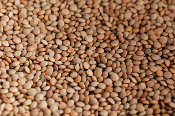 Davantage de protéines végétales dans notre alimentation