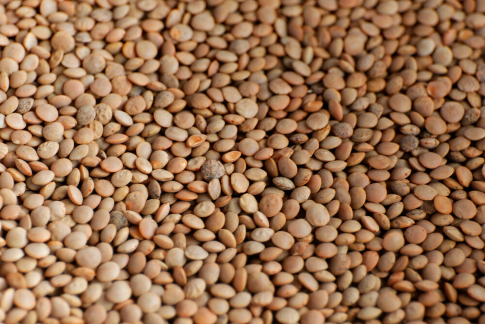 Reims La Marne Agricole Davantage de protéines végétales dans notre alimentation Pour améliorer notre équilibre alimentaire et lutter contre le réchauffement climatique, des sénateurs et des députés préconisent d’accroître la part des protéines d’origine végétale dans notre alimentation.