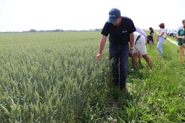 Marne : Soufflet Agriculture propose le modèle GreenLeaf