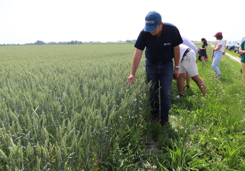 Marne : Soufflet Agriculture propose le modèle GreenLeaf