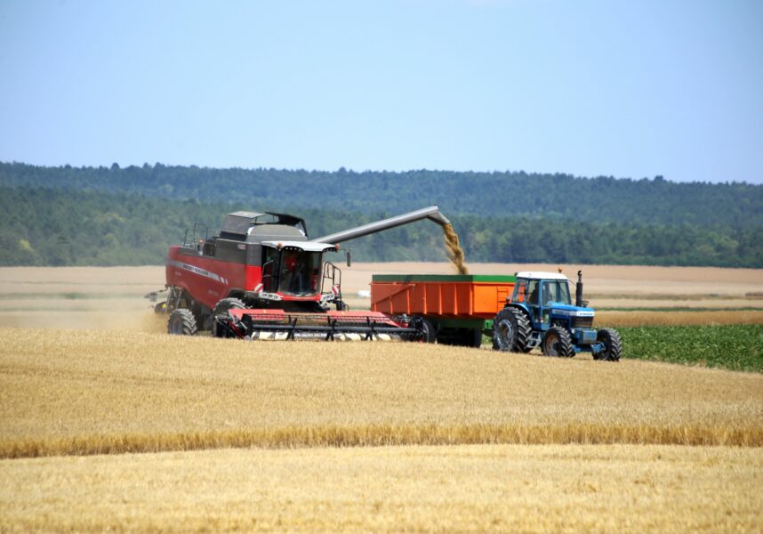 L’UE engrange des récoltes de blés et d’orges supérieures à 2024 L’UE engrange des récoltes de blés et d’orges supérieures à 2024