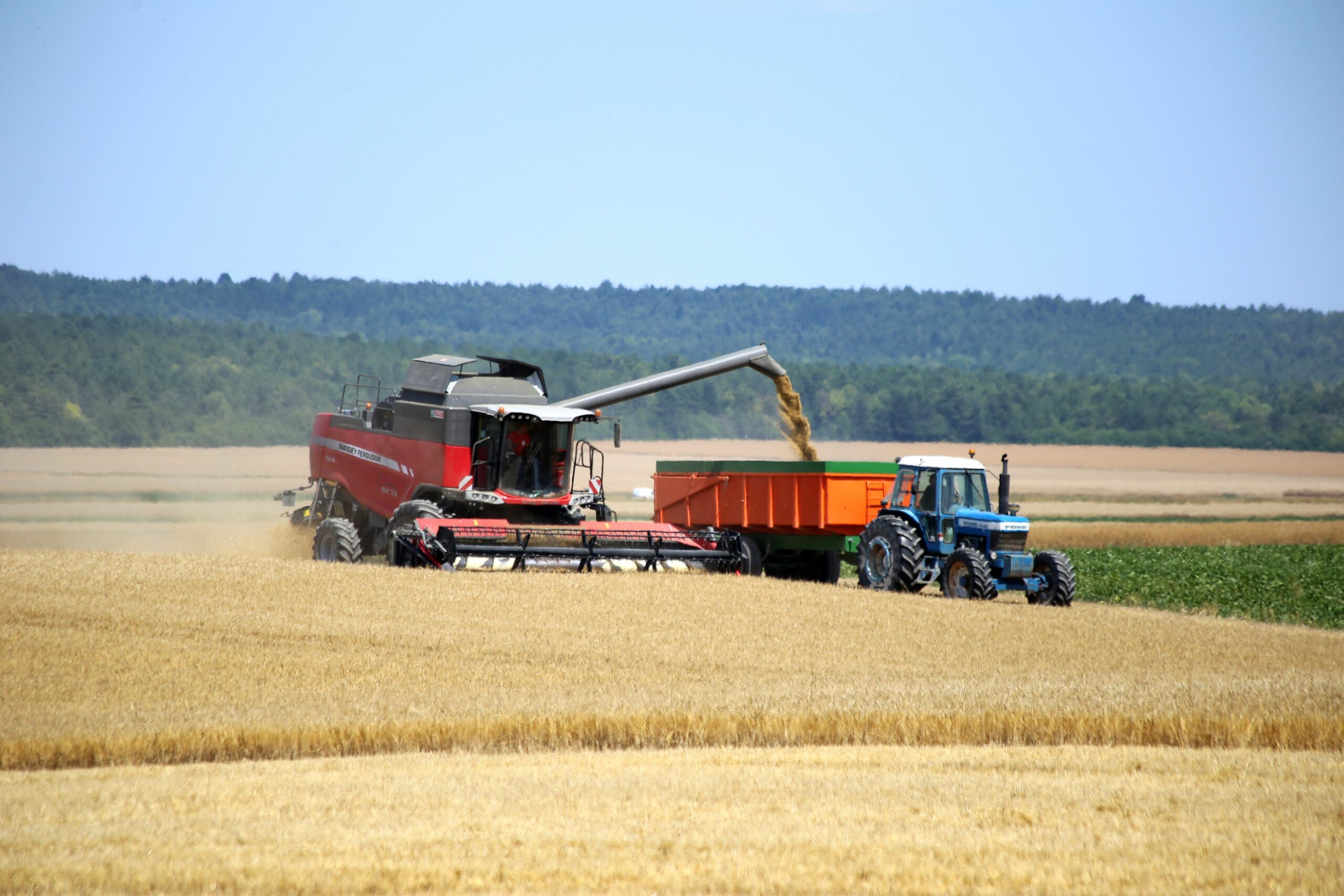 Reims La Marne Agricole L’UE engrange des récoltes de blés et d’orges supérieures à 2024 FranceAgriMer a rendu public les premiers bilans prévisionnels des campagnes 2025-2026 des productions de blés et d'orges en Union européenne et en France. Les récoltes de céréales à paille sont supérieures à l’an passé sans être pour autant spectaculaires. La hausse des rendements compense à peine la faiblesse des cours.