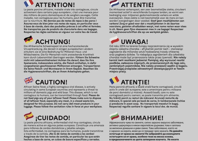 Une nouvelle campagne pour protéger les élevages contre la fièvre porcine africaine