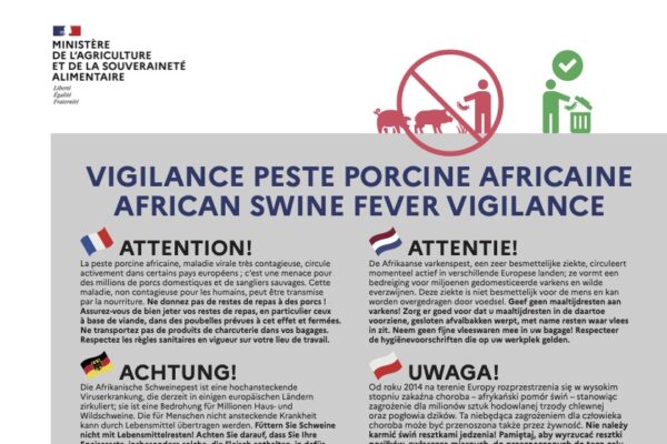 Une nouvelle campagne pour protéger les élevages contre la fièvre porcine africaine