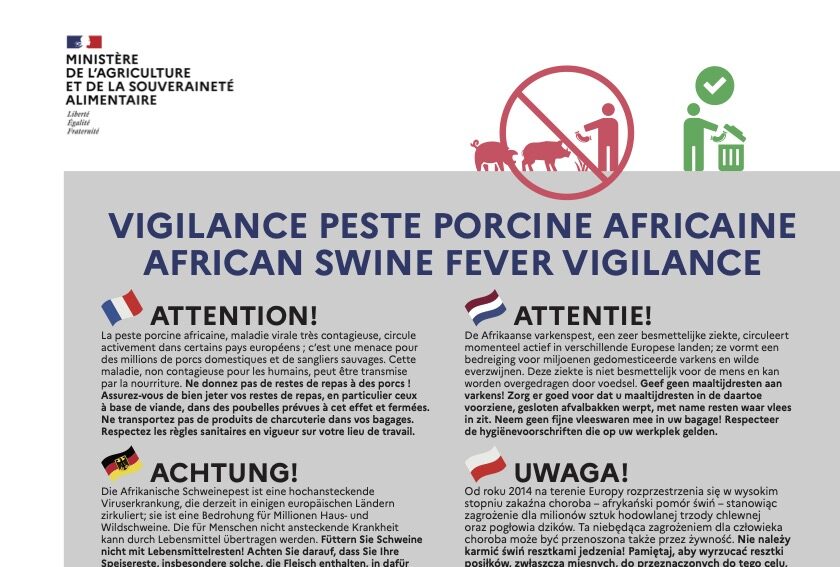 Reims La Marne Agricole Une nouvelle campagne pour protéger les élevages contre la fièvre porcine africaine