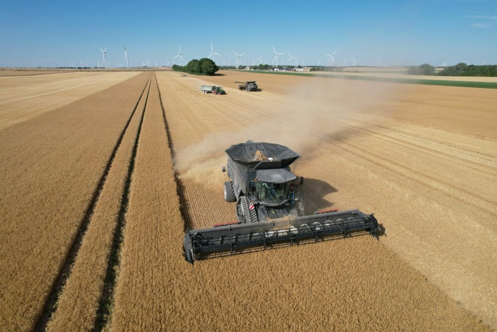 Reims La Marne Agricole Moisson : les orges d’hiver confirmées, de bons colzas La récolte 2025 se poursuit dans la Marne, à peine freinée par de rares épisodes de pluie. La chaleur accélère la récolte. Les orges d’hiver et escourgeons confirment en qualité et quantité. Les premiers colzas affichent de bons rendements. Les quelques bennes de blé sont correctes.