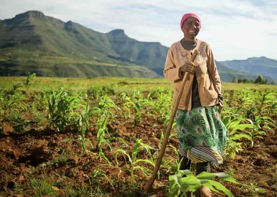 Reims La Marne Agricole Alimentation : la France exploite-t-elle vraiment le Sud ? L’organisation non gouvernementale CCFD-Terre Solidaire (CCFD) a publié fin juin la toute première édition de son Observatoire de la souveraineté alimentaire. Ce rapport examine les échanges agricoles et alimentaires entre la France et les pays du Sud. Un rapport à charge pour le système agroalimentaire français.