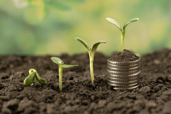 Comptes de l’agriculture : nouvelle baisse du revenu agricole