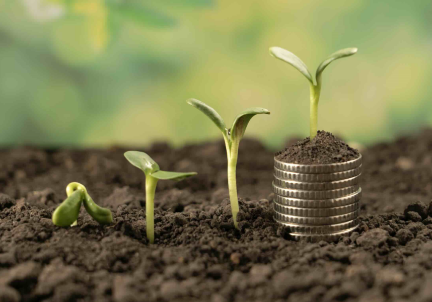 Comptes de l’agriculture : nouvelle baisse du revenu agricole