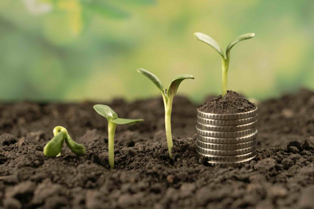 Reims La Marne Agricole Comptes de l’agriculture : nouvelle baisse du revenu agricole En raison des évènements climatiques et sanitaires exceptionnels qui ont pénalisé les productions végétales et animales, le revenu agricole s’est effondré en 2024, selon la Commission des comptes de l’Agriculture de la nation.