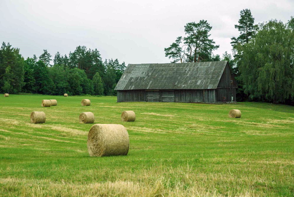 Reims La Marne Agricole 16,2 % des ménages agricoles sous le seuil de pauvreté En 2020, le revenu médian des ménages agricoles est de 22 800 € par personne. Seuls 10 % de ces ménages, dont l’exploitant est céréalier ou viticulteur, ont un niveau de vie supérieur à 50 000 €/pers/an.