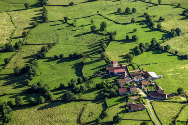 L’agriculture toujours dans le viseur de climatologues