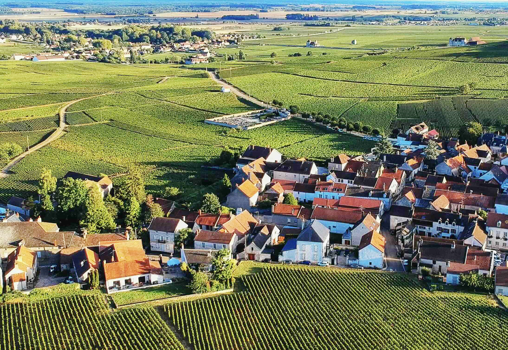 Reims La Marne Agricole Un premier bilan assez positif pour la ruralité Le Premier ministre, François Bayrou, accompagné par sept membres de son gouvernement a présidé le 20 juin à Mirecourt (Vosges), un comité interministériel à la ruralité au cours duquel il a dressé le bilan et les perspectives de son action et insisté pour prolonger et amplifier les actions en faveur des campagnes.