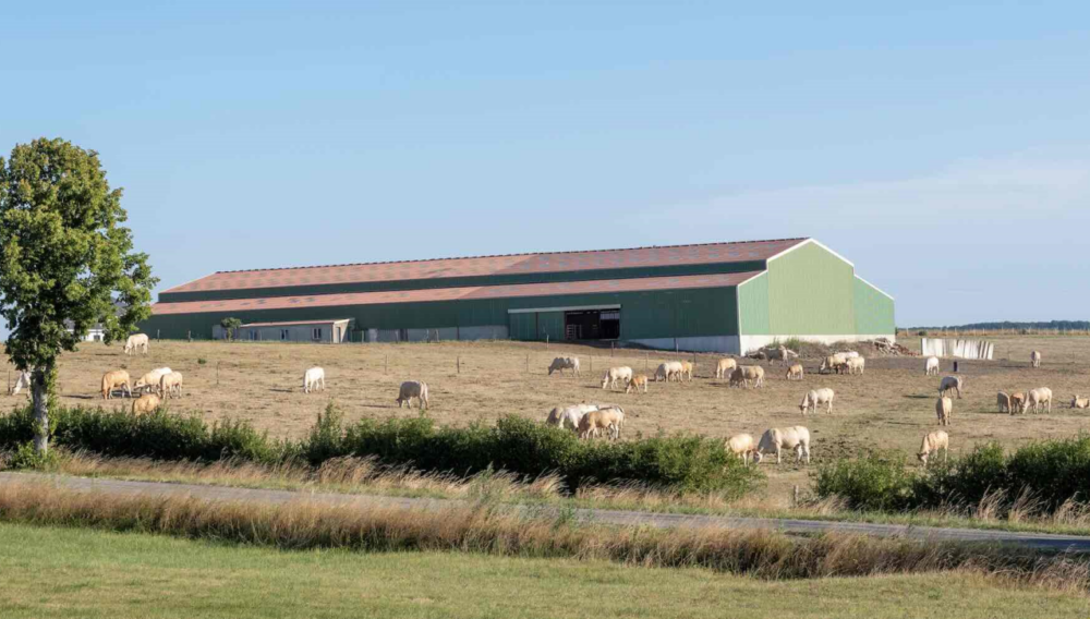 Reims La Marne Agricole La PAC accélère la disparition des micro-exploitations Depuis 2020, un des moteurs de l’agrandissement des exploitations agricoles est la reprise des terres détenues par des agriculteurs de plus de 67 ans à la tête de micro-exploitations qui ne bénéficient plus d’aides PAC.