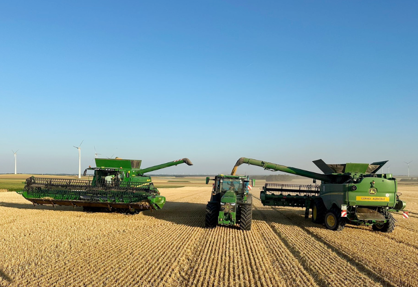 Reims La Marne Agricole Blé tendre : la récolte française 2025 attendue en net rebond Les services statistiques du ministère de l’Agriculture (Agreste) ont publié leur première prévision de récolte française 2025 de blé tendre. Elle est attendue à 32,6 Mt, en hausse de 7 Mt par rapport à l’année catastrophique de 2024.