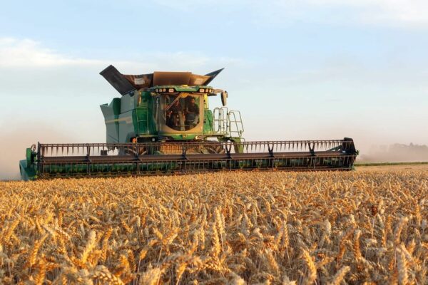 Reims : la moisson 2025 touche à sa fin