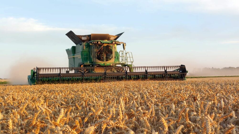Reims La Marne Agricole La récolte 2025 touche à sa fin dans la Marne Tout est bon, même si les coopératives attendaient mieux pour les blés et les colzas. Les semis de printemps sont en retrait. L’hétérogénéité des rendements est marquée pour les céréales à paille.