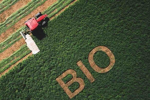 Quelle sera l’agriculture biologique en France d’ici 15 ans ?