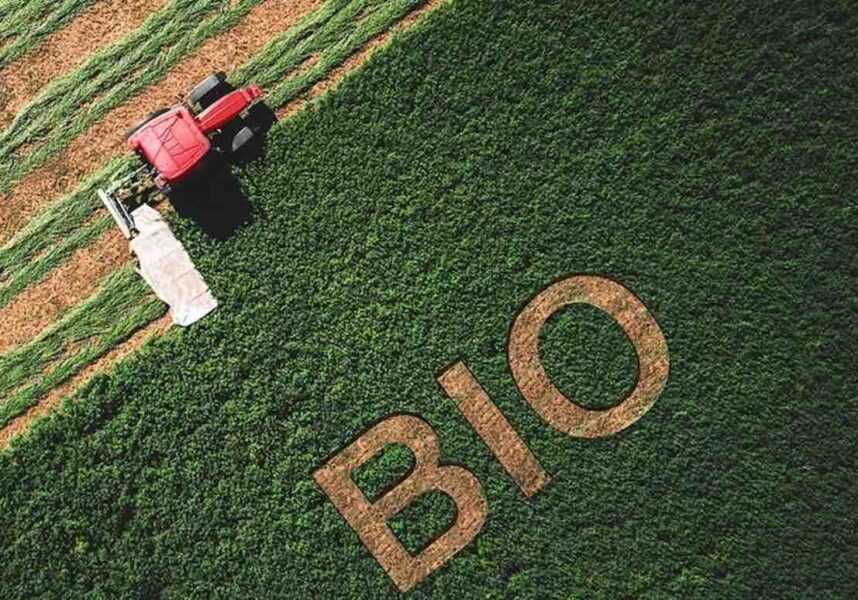 Quelle sera l’agriculture biologique en France d’ici 15 ans ?