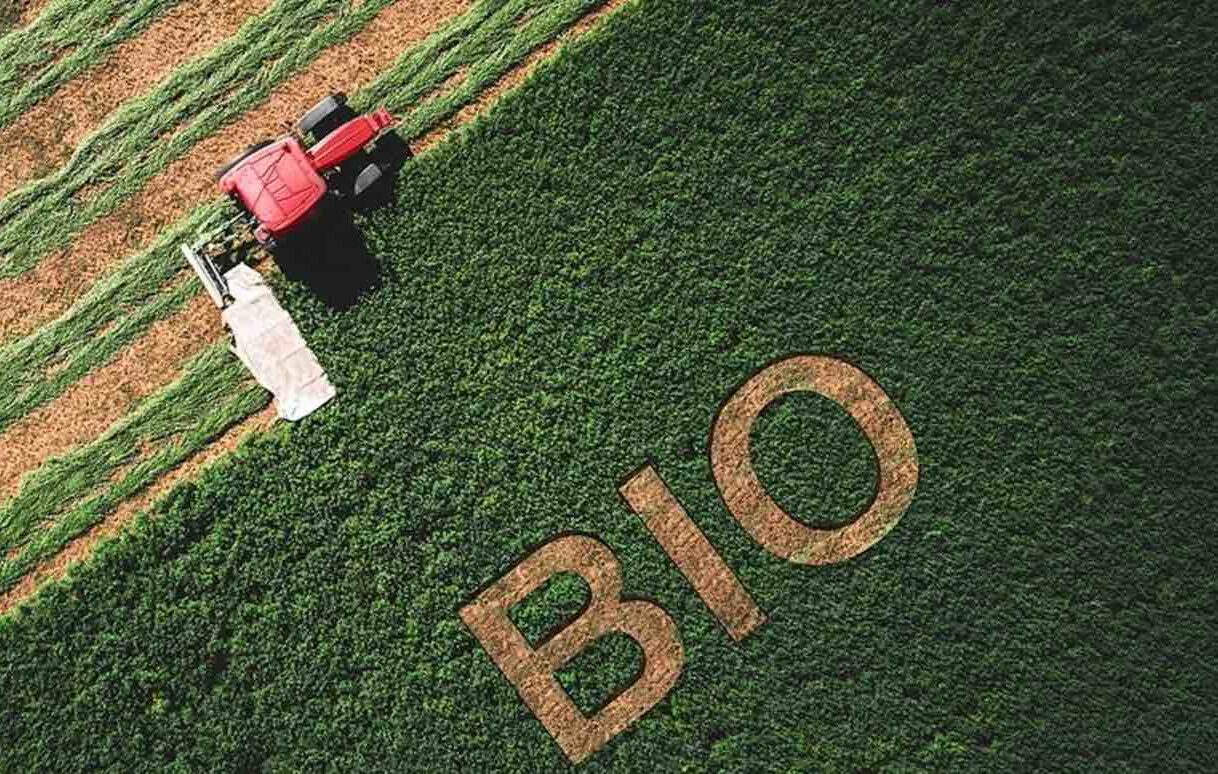 Reims La Marne Agricole Quelle sera l’agriculture biologique en France d’ici 15 ans ? Le centre d’études et de prospectives du ministère de l’Agriculture a publié mi-août une étude* portant sur l’agriculture biologique française à l’horizon 2040. Plusieurs scénarios sont à l’étude. Certains laissent entrevoir une « possible marginalisation » de ce système de production.