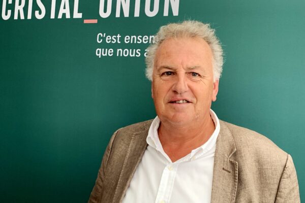 Châlons : Cristal Union s’attend à des rendements corrects mais la jaunisse a fait des dégâts