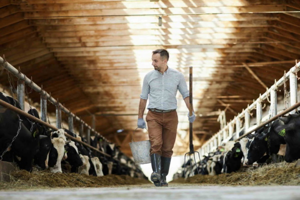 Reims La Marne Agricole Les éleveurs laitiers veulent reprendre leur destinée en mains Pour donner l’envie à des jeunes de s’installer en élevage laitier, l’un des leviers reste la rémunération. Or celle-ci n’est pas totalement au rendez-vous, ont estimé les responsables de la FNPL lors d’une conférence de presse sur le 39e Space à Rennes.