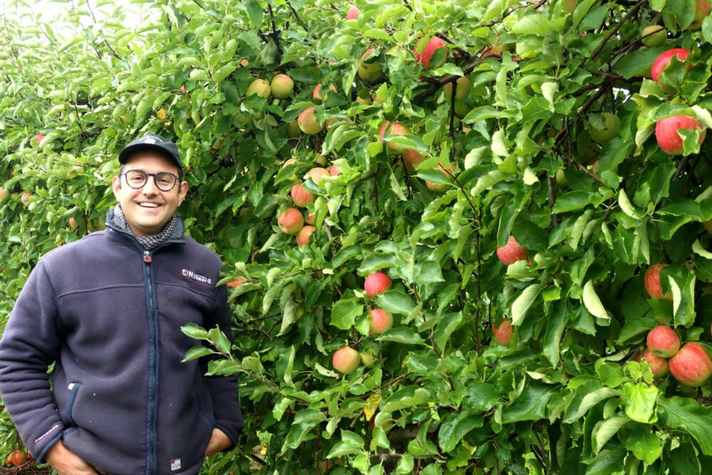 Reims La Marne Agricole Les pommes se croquent en famille au Verger de l’Arly Dans le sud-ouest marnais, la cueillette et le ramassage des pommes vont bon train. La vente au pied des pommiers au verger est ouverte le week-end, le magasin de Saudoy offre toute une gamme de produits locaux.